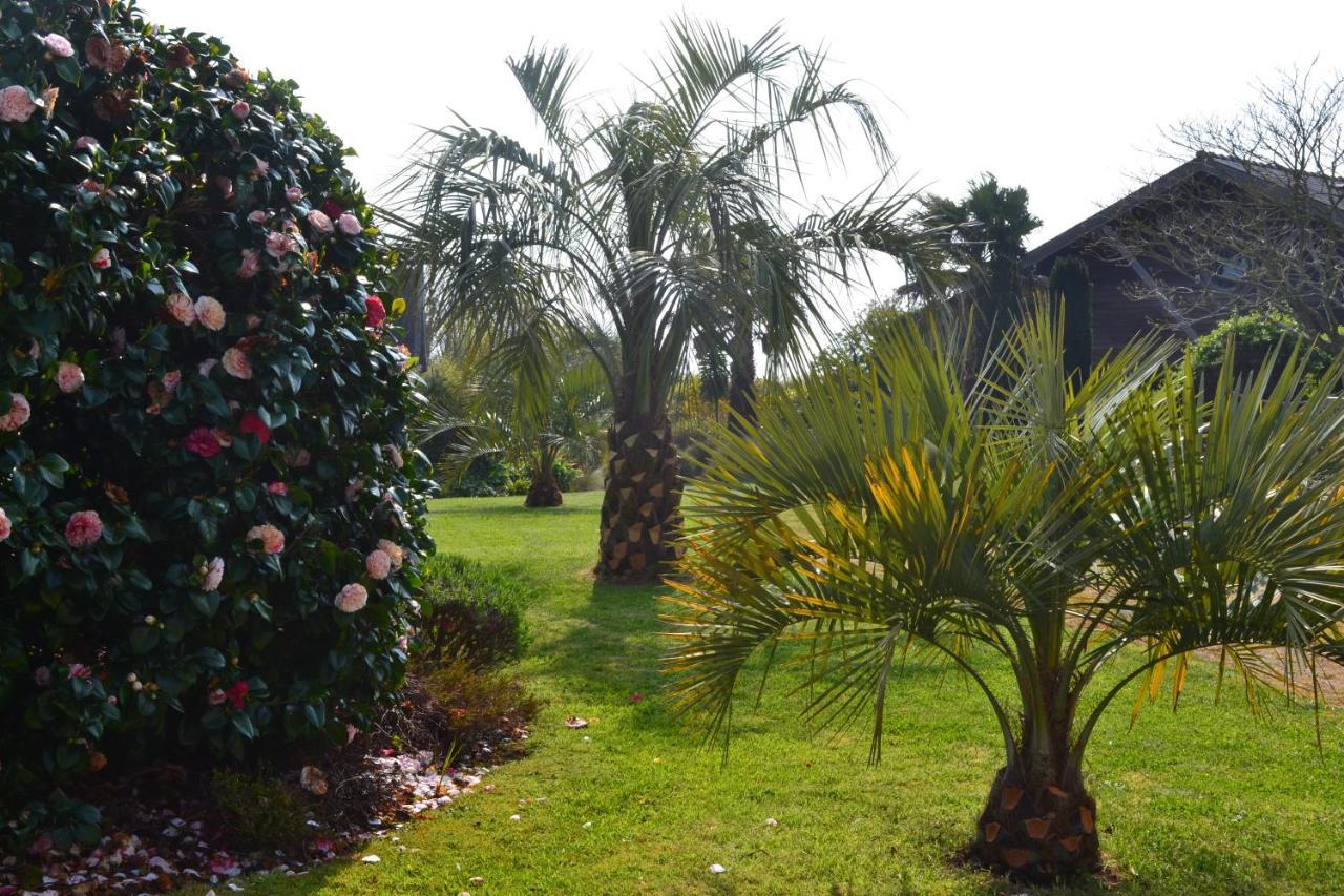 Chambres D'Hotes Le Nid D'Iroise Lanildut Exterior foto